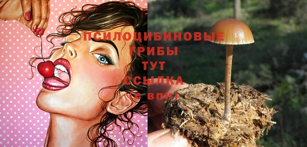 гидропоника Алексин