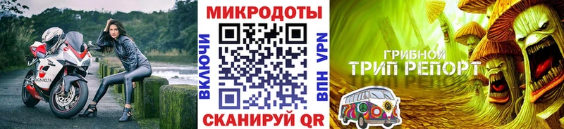 где купить   Сухой Лог  нарко площадка формула  Псилоцибиновые грибы Magic Shrooms 